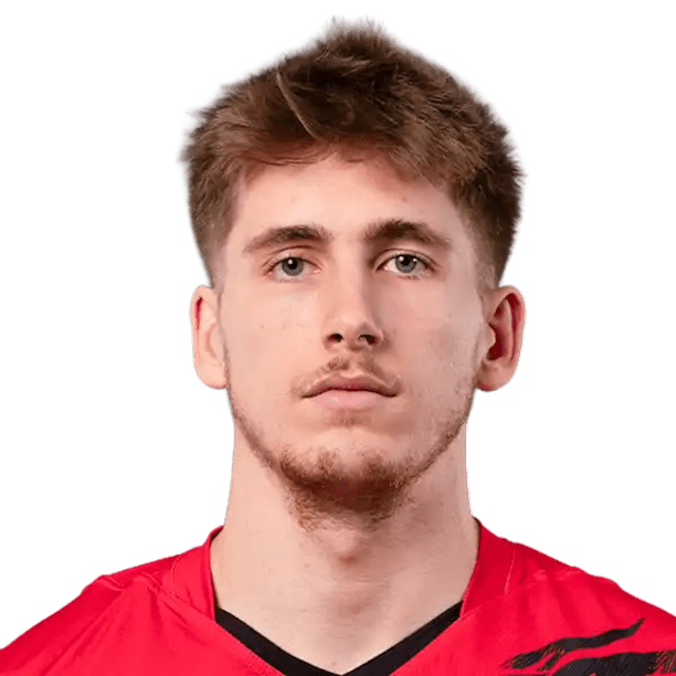 Basil Dermaux - Jogador de voleibol, oposto, Belgium