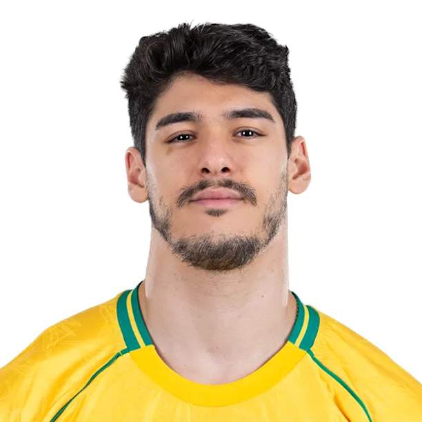 Henrique Dantas Nóbrega Honorato - Jogador de voleibol, ponta, Brasil