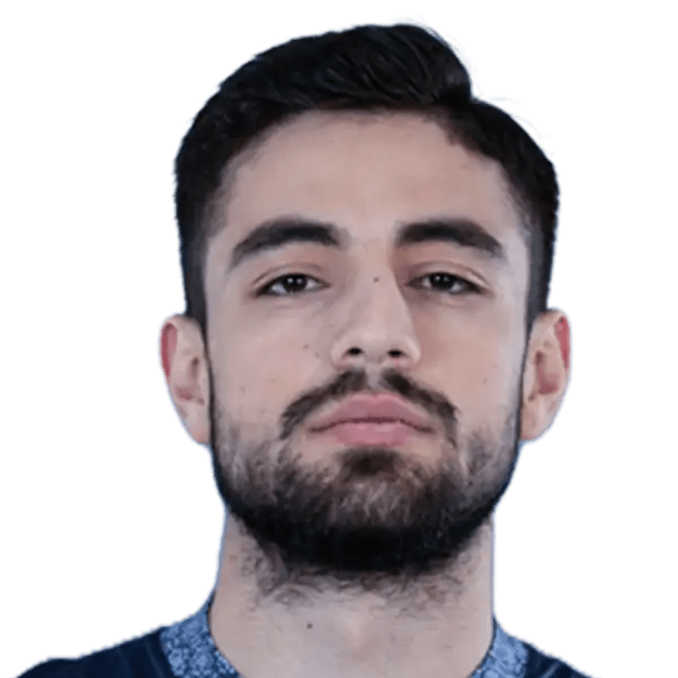 Bardia Saadat - Jugador de voleibol, opuesto, Irán