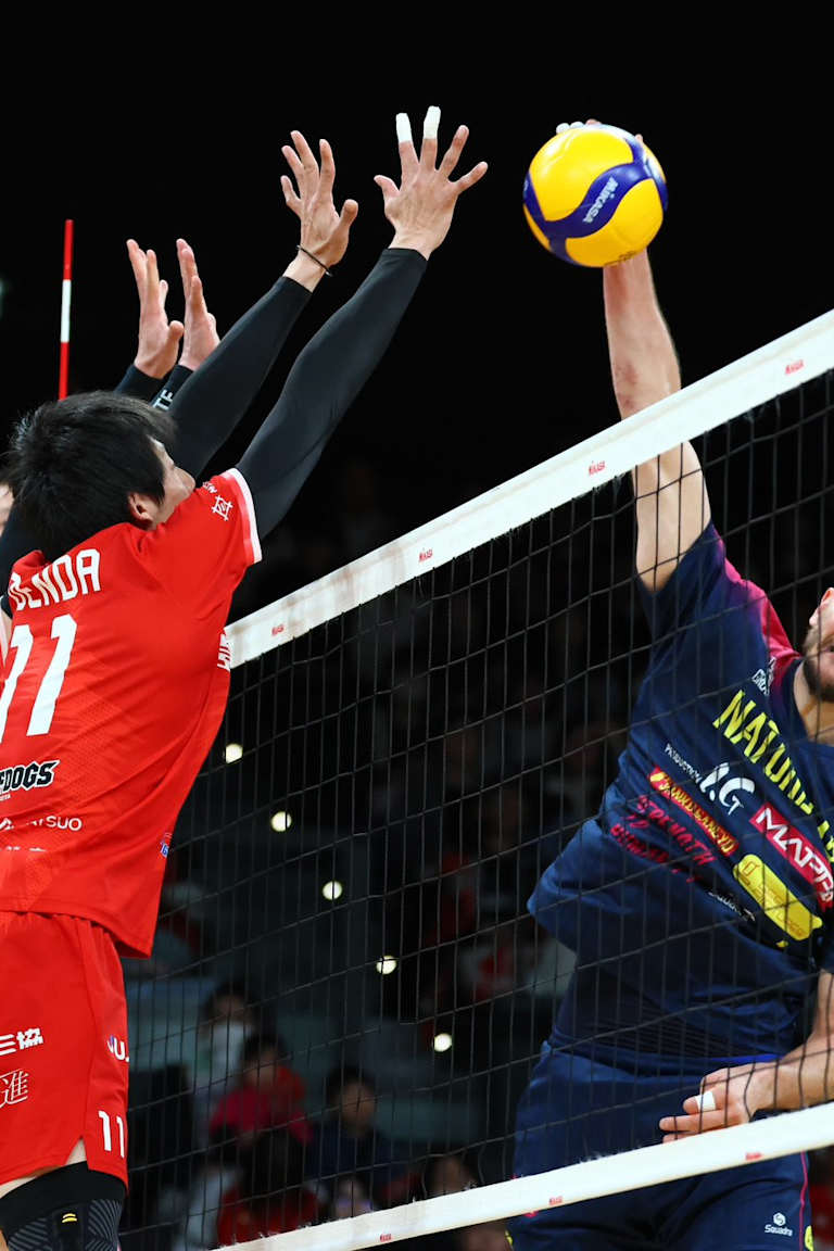 Wolfdogs and Great Bears split spoils in double header