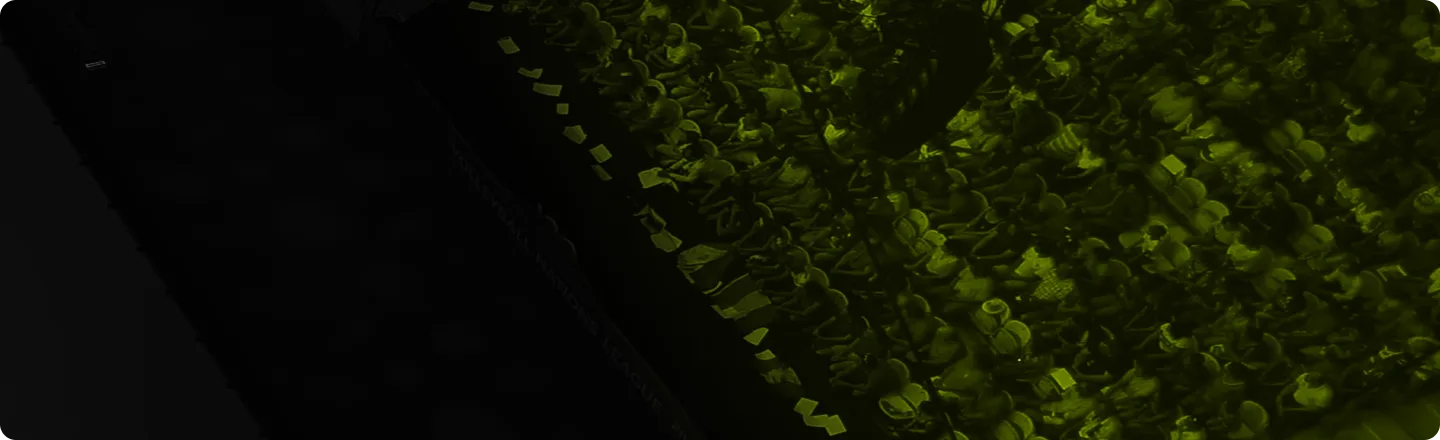 image: Newsletter Background Desktop