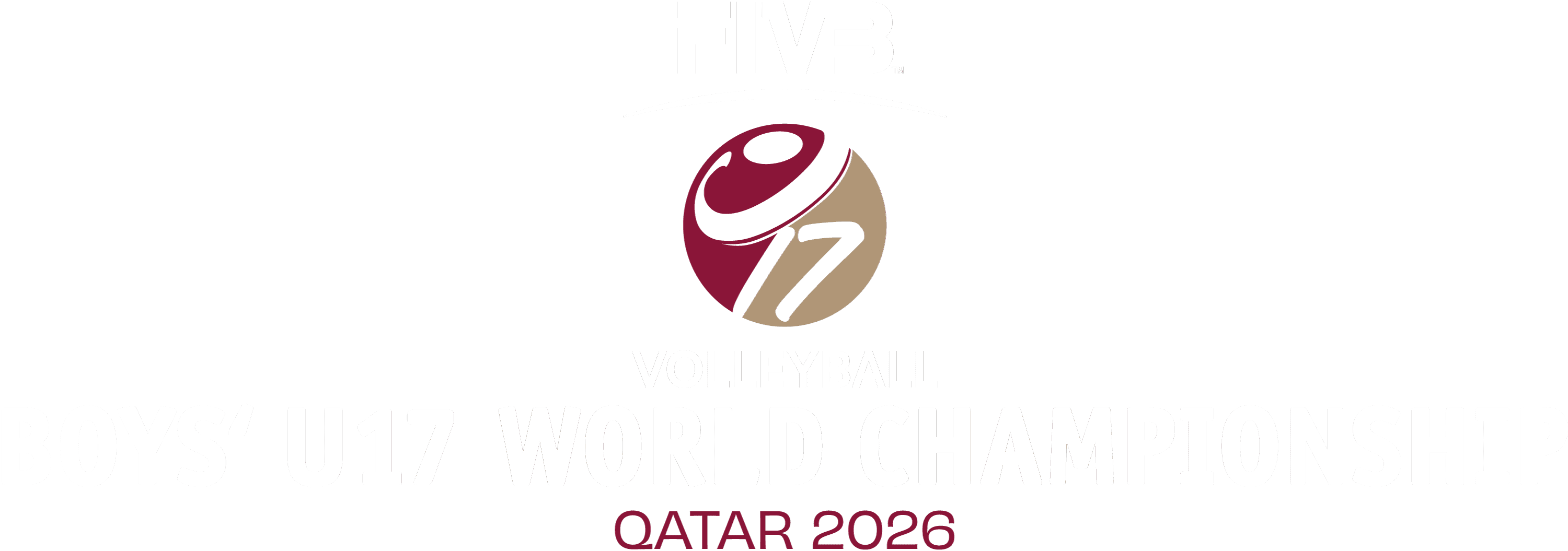 FIVB Boys' U17 World Championship 2024 logo